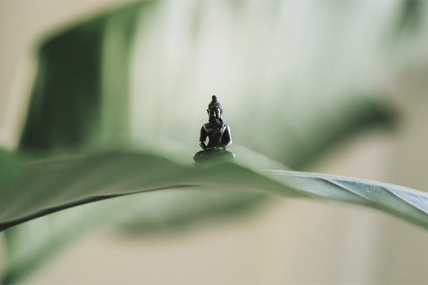 buddha sitting on a leaf